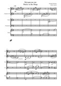 Music in the Sleap