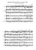 Sonata for flute and basso continuo in E Minor – 1 Movement. Score and Parts